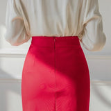 Women's 2-5XL Fashion Designer Bodycon Pencil Skirts (Plus Size)