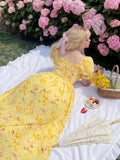 Women's Chiffon A-Line Lace 1-4XL Fashion Designer Long Dresses (Plus Size)-