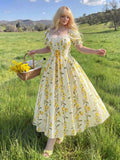 Women's Chiffon A-Line Lace 1-4XL Fashion Designer Long Dresses (Plus Size)
