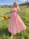 Women's Chiffon A-Line Lace 1-4XL Fashion Designer Long Dresses (Plus Size)