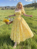 Women's Chiffon A-Line Lace 1-4XL Fashion Designer Long Dresses (Plus Size)