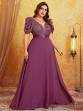 Women's Chiffon Sequin Fashion Designer L-5XL Long Dresses (Plus Size)