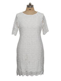 Women's Embroidery Floral 2-5XL Fashion Designer Midi Dresses (Plus Size)