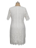 Women's Embroidery Floral 2-5XL Fashion Designer Midi Dresses (Plus Size)