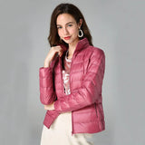 Women's Fashion Designer XL-7XL Duck Down Jackets (Plus Size)-Women's Tops Fashion Designer Plus Size Jerseys-Pink no hooded-Women&#x27;s fashion designer plus size clothes