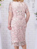 Women's Lace Floral Elegant Bodycon Fashion Designer Midi Dresses (Plus Size)