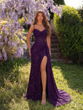 Women's Mesh Fashion S-L Designer Sequin Prom Dresses (Long)