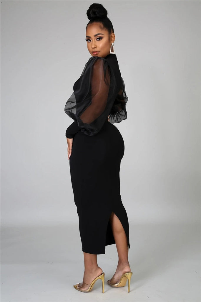 Women's Fashion Designer Mesh Puff Sleeve Bodycon Dresses (Midi)